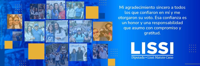 Lissi Matute Cano's banner