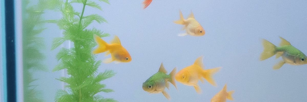 idk.'s banner