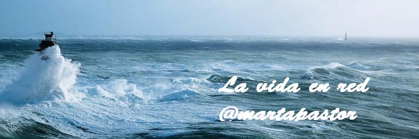 Marta Pastor's banner