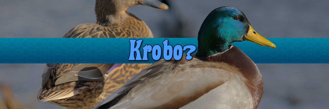 Kroboats's banner