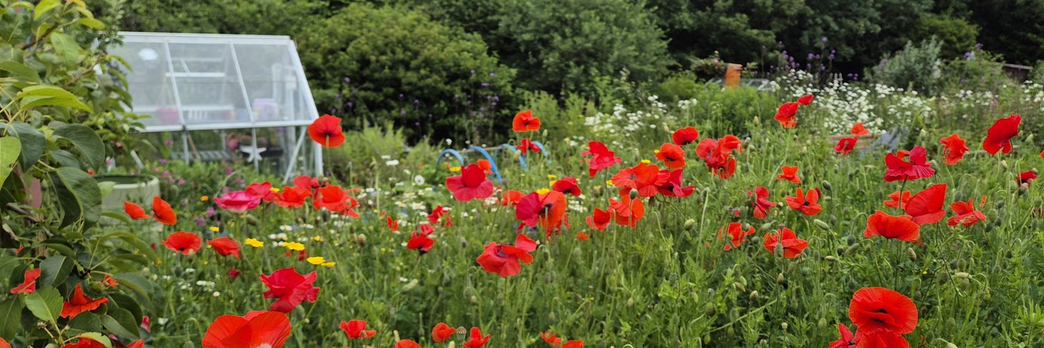 🌱Lovely_Plot 💅🇵🇱🇬🇧🪷🐞🐝's banner