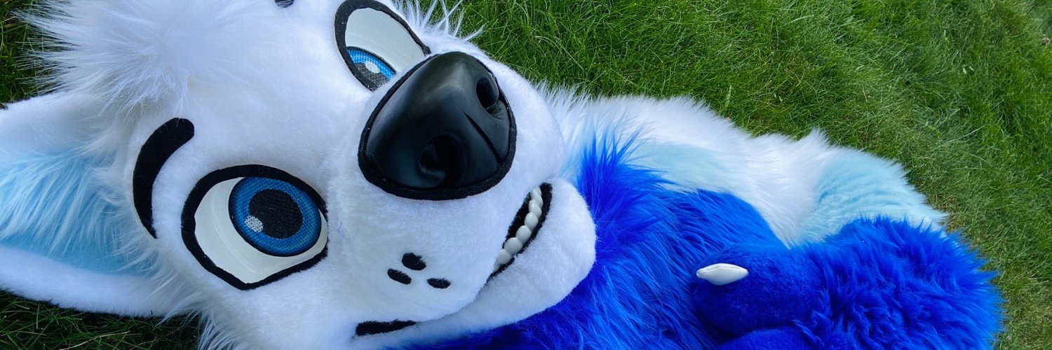 Djem - 🐺 - 🇪🇺's banner