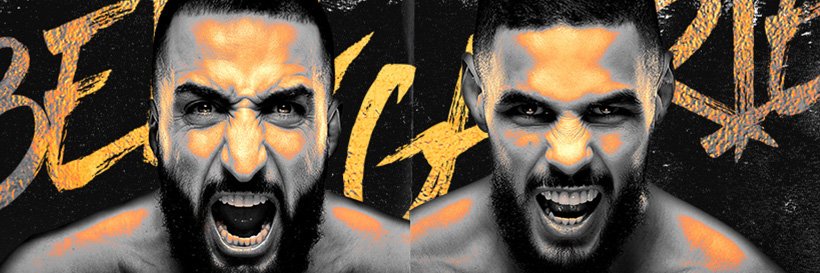 UFC's banner