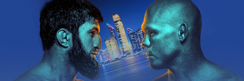 UFC's banner