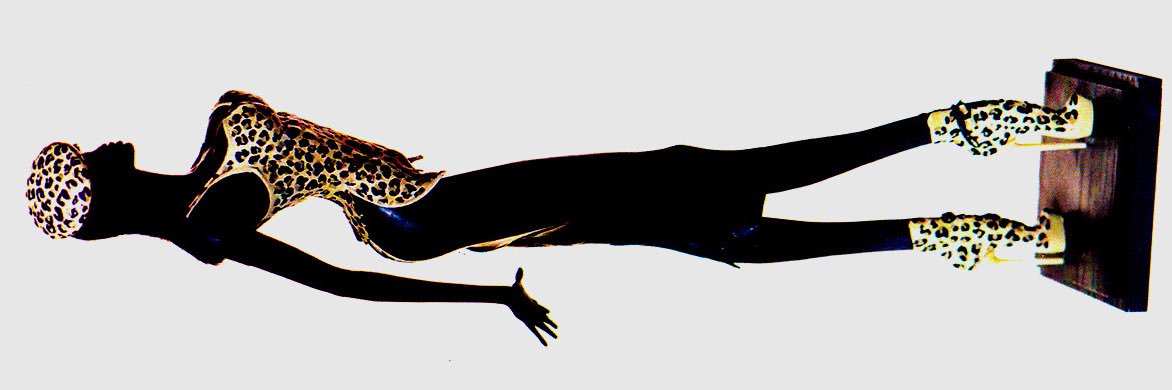 meisel muse.'s banner