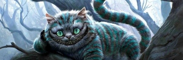 O Gato - só mais um no X pra tretar 🫵's banner