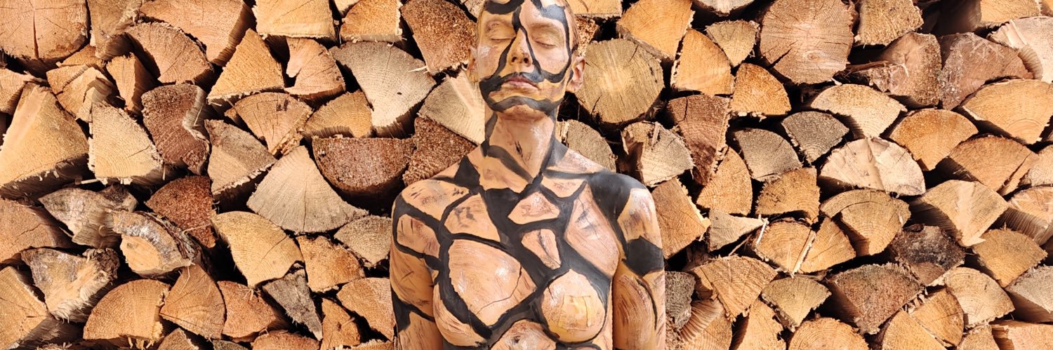 World Bodypainting's banner