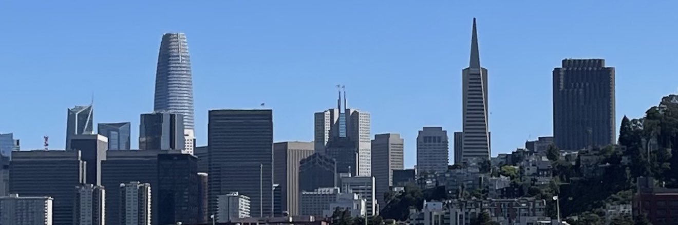 Martin's banner