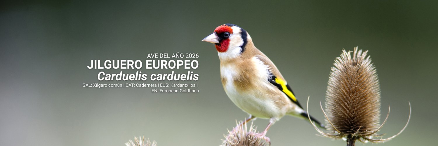 SEO/BirdLife's banner