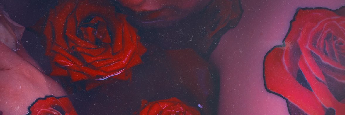 Raphaëlle 🌹 Roux's banner