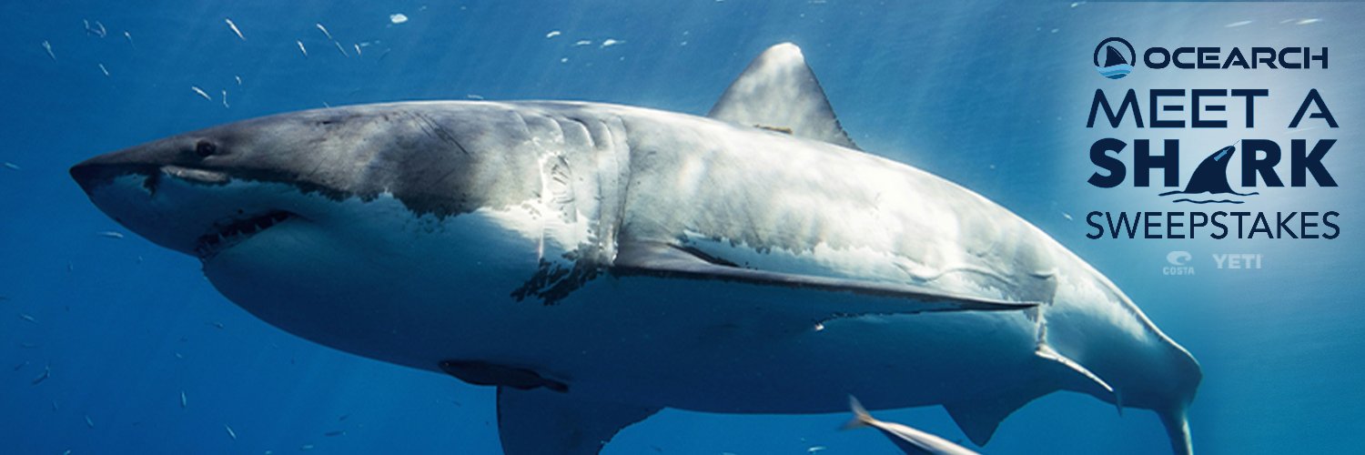OCEARCH's banner