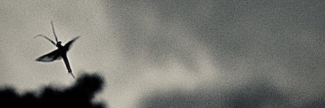 Weltkulturerbe (tm)'s banner