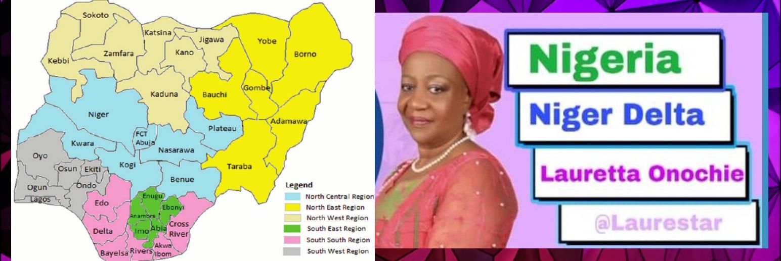 Lauretta Onochie's banner