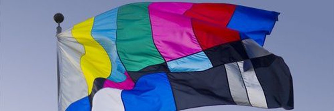 Doña Pepa de Guama's banner