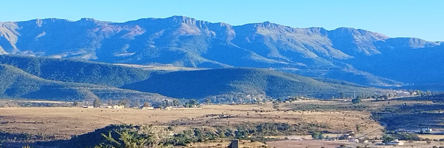 Thami Dickson's banner