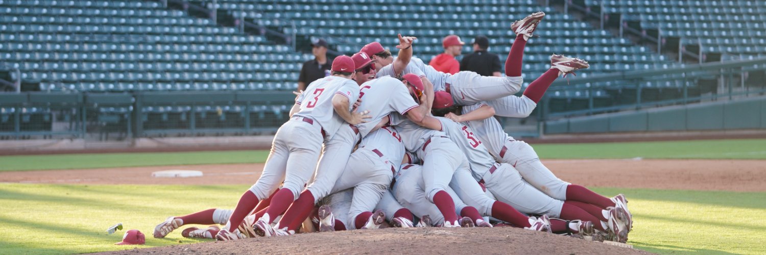 Washington State Baseball's banner