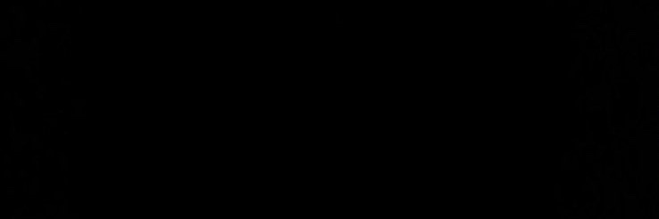 Indochine's banner