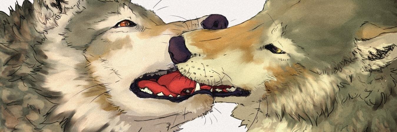 Sekki-Kyowe/🐺🇯🇵teacher's banner