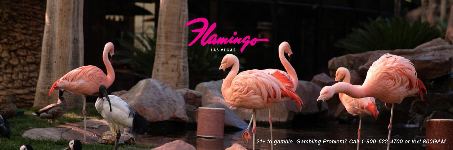 Flamingo Las Vegas's banner