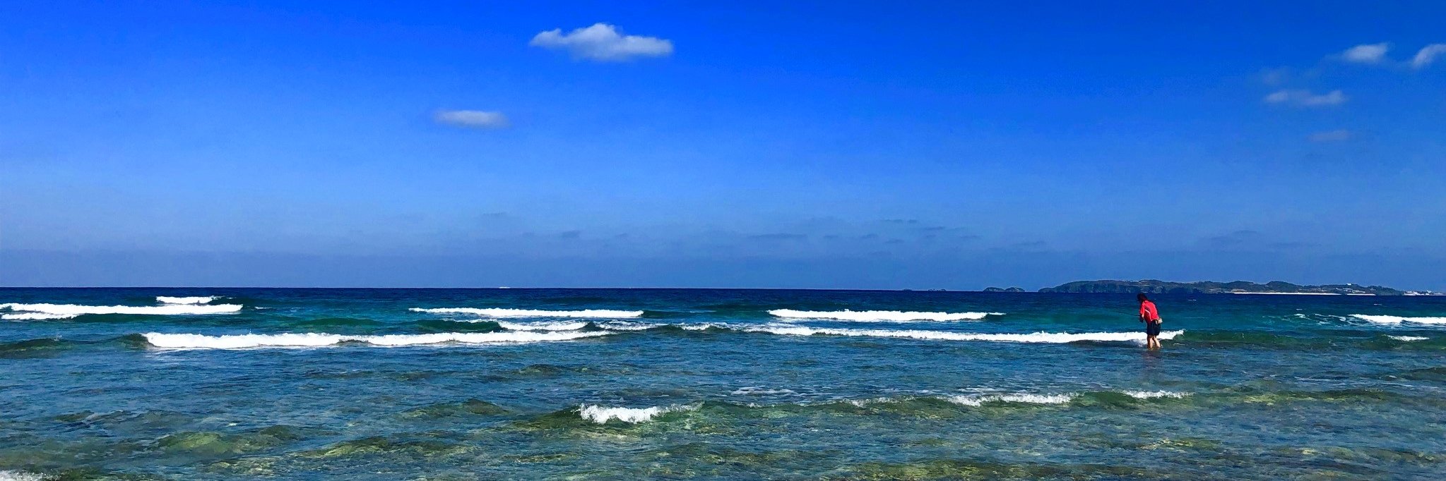 釣りビジョン's banner
