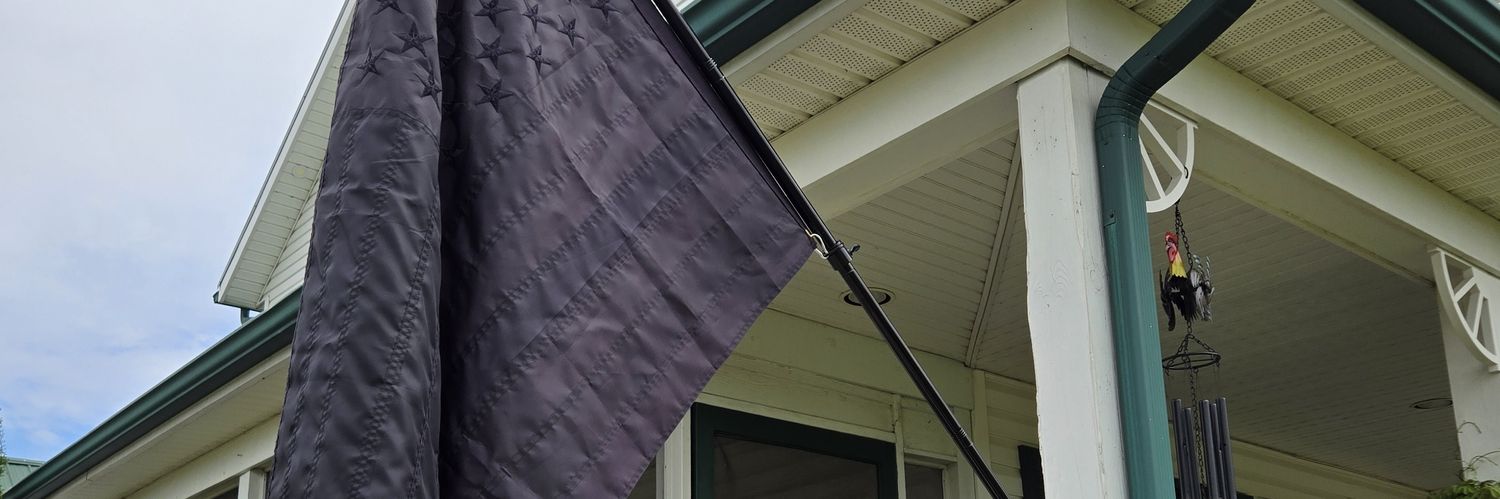 PatriotDadEV2.0's banner