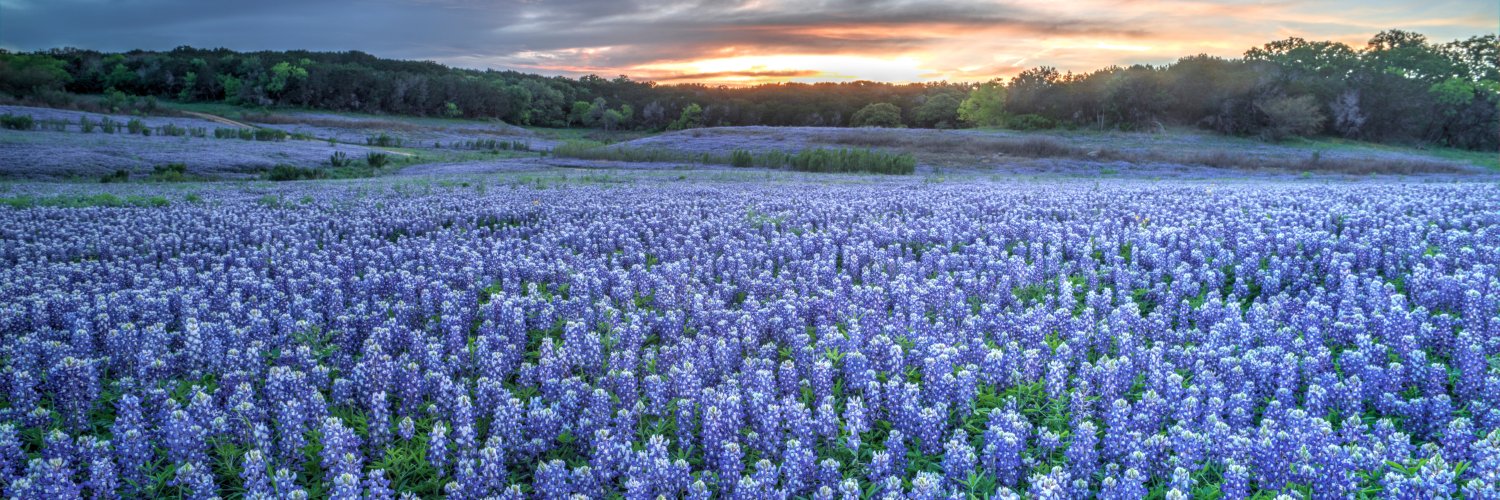 Texas Democratic Party's banner