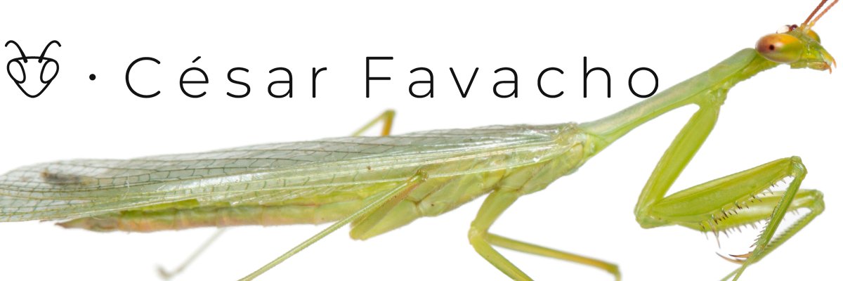 César Favacho ~ Inseto e outros bichinhos 🐜🦗🪲🪳's banner