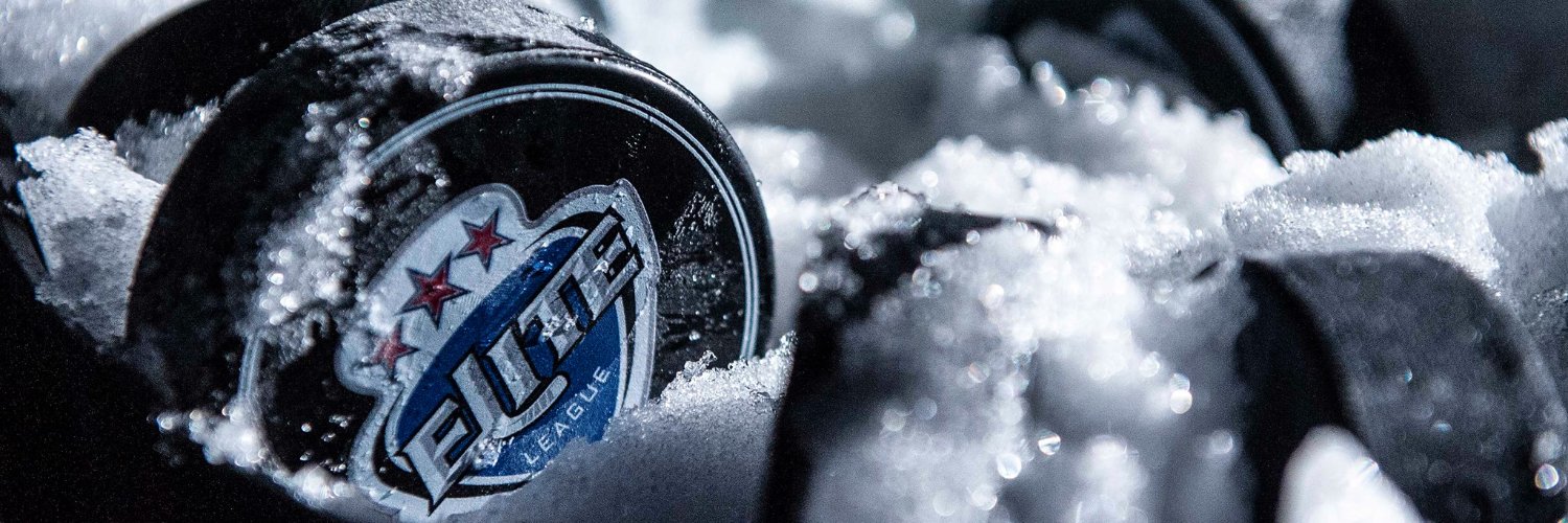 Elite Ice Hockey League | #EIHL's banner