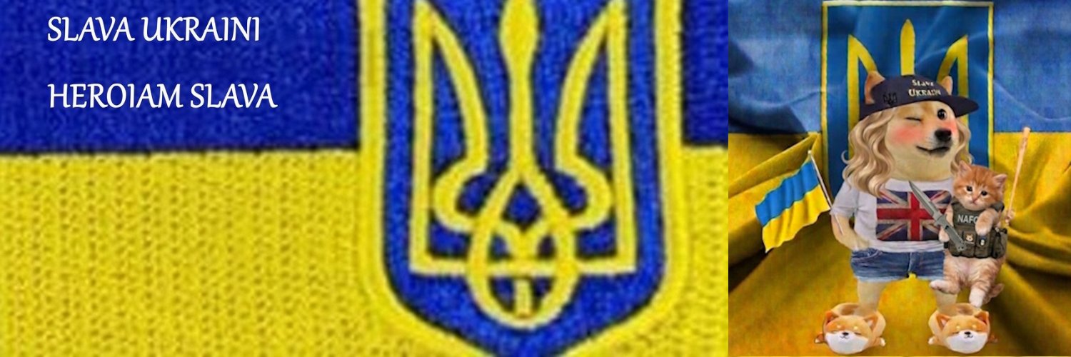 Alison UKFelineFella - Slava Ukraini's banner