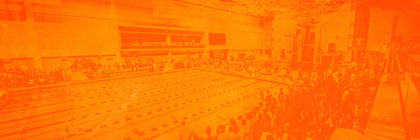 Tennessee Swimming & Diving's banner