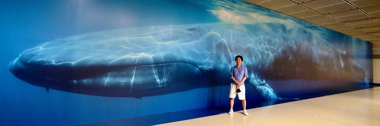 🐳Taichi Maruyama／丸山太一🐋's banner