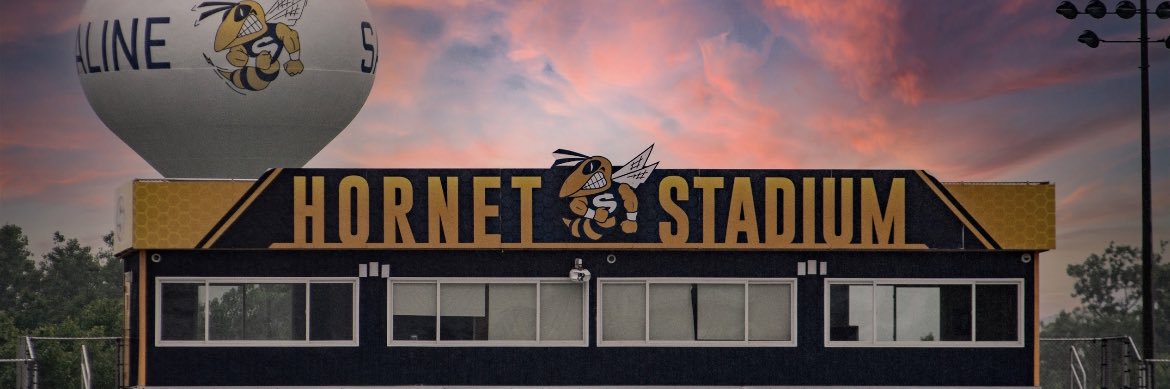 Saline Athletics's banner