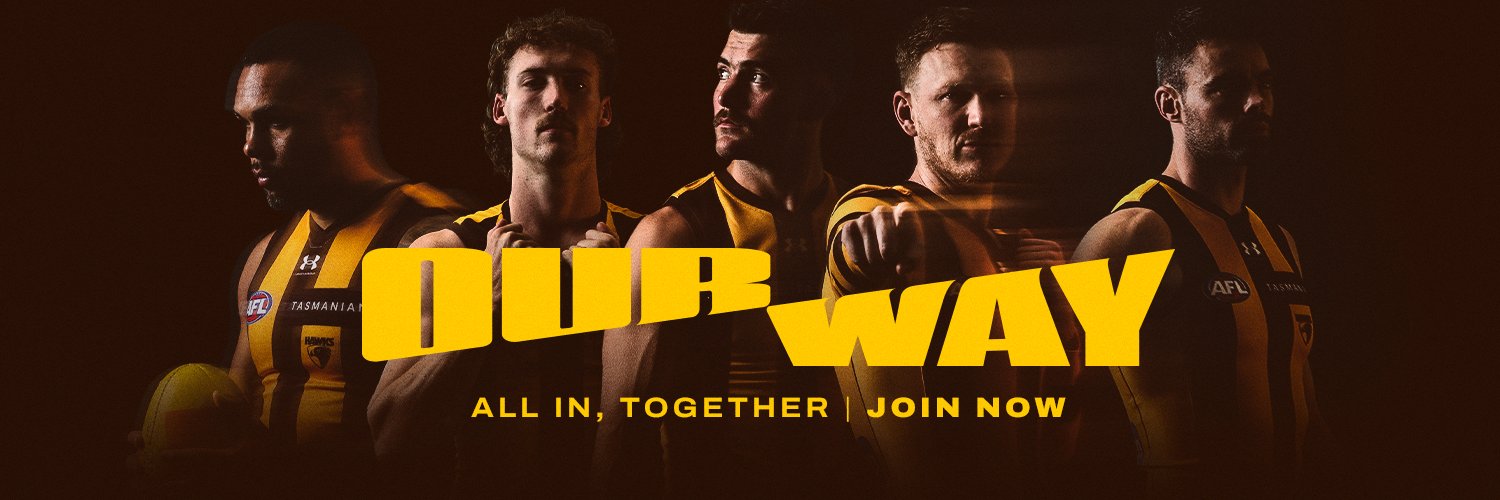 Hawthorn FC's banner