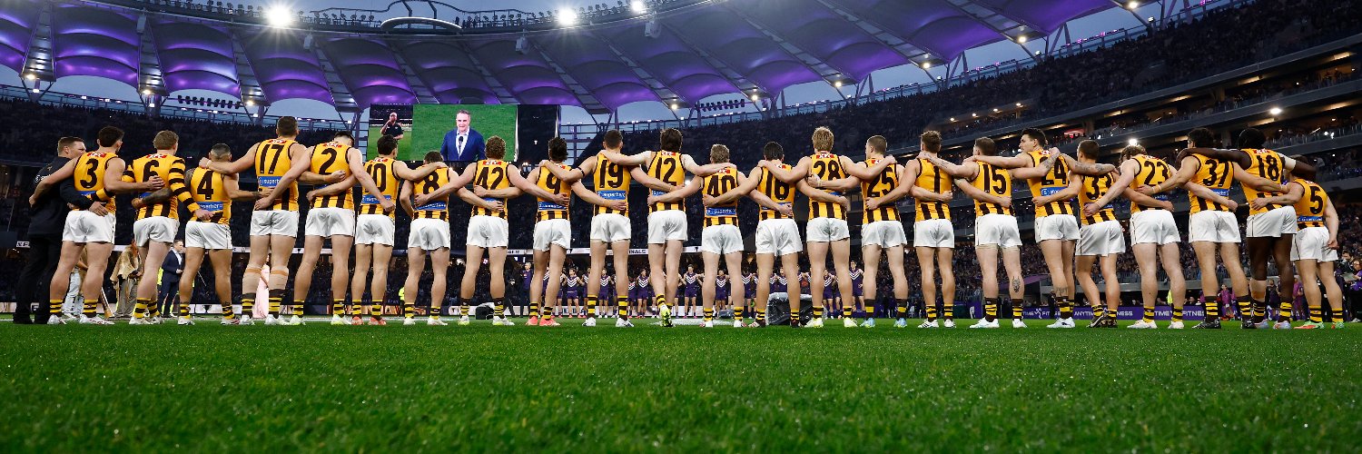Hawthorn FC's banner