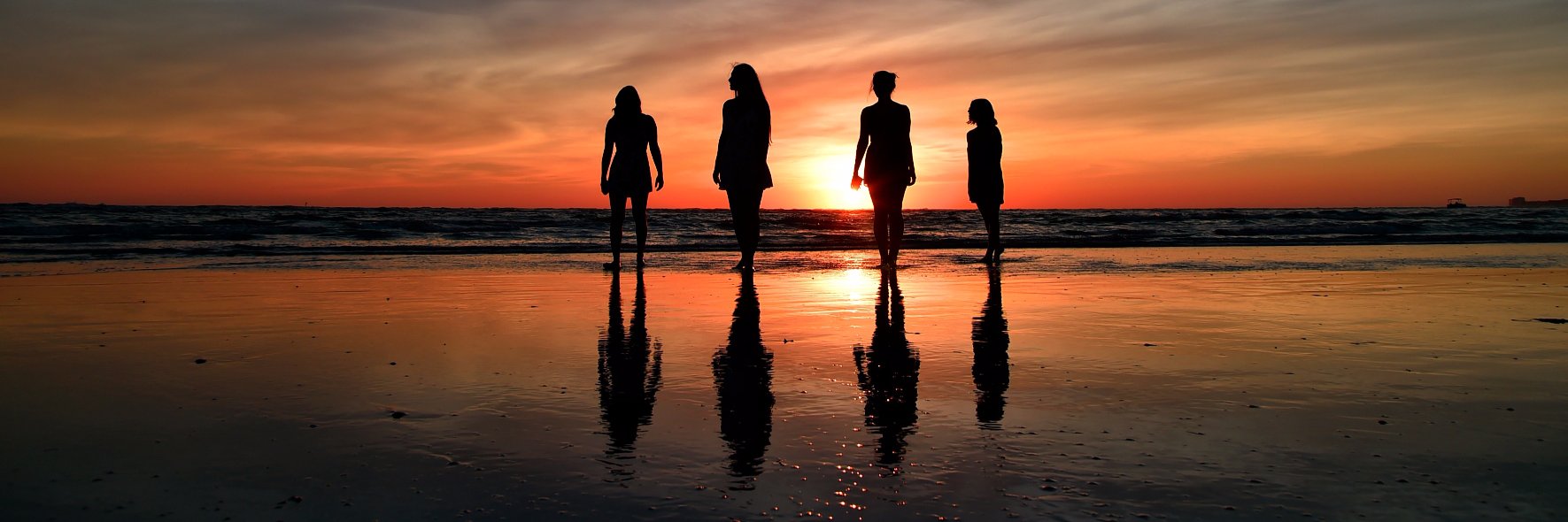 Sarasota Herald-Tribune's banner