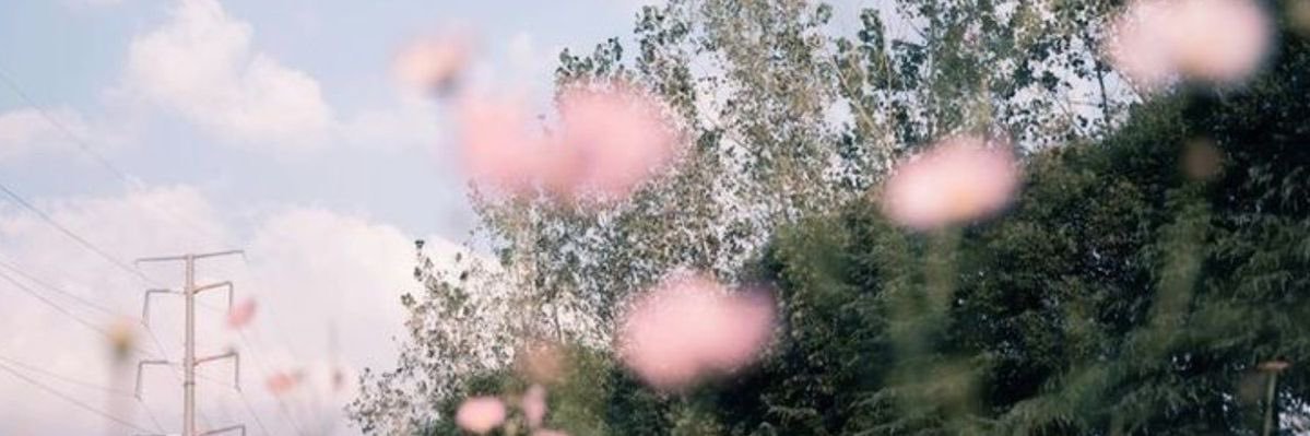 sitara ✮⋆˙'s banner