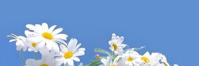 am。's banner