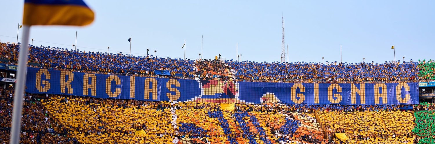 Solo Tigres's banner