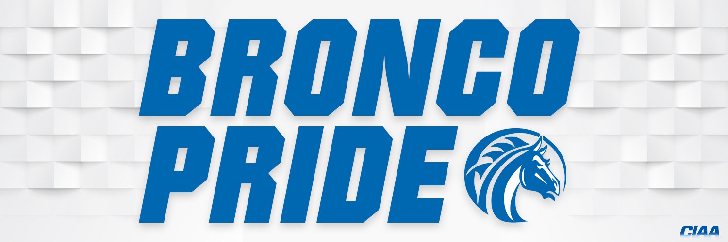 FSU Broncos's banner