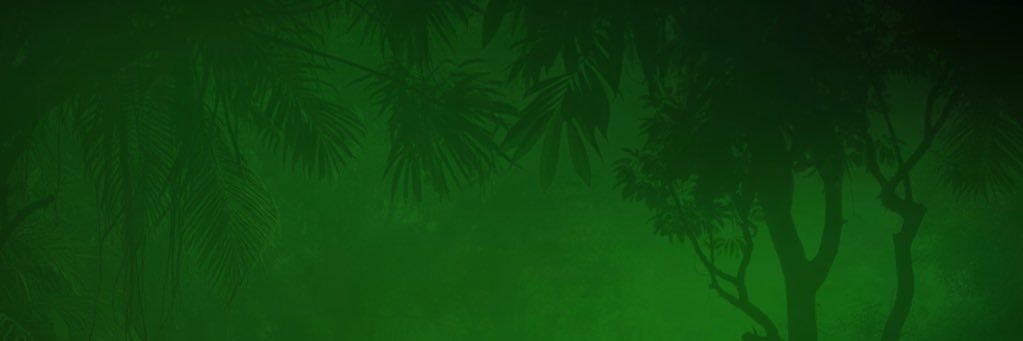 Gabby B's banner