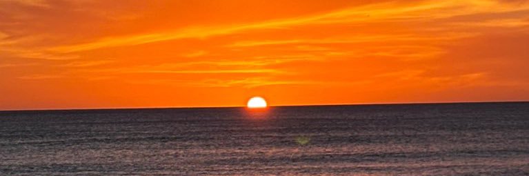 🌸's banner