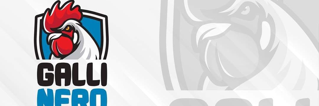 Revolviendo El Gallinero®'s banner