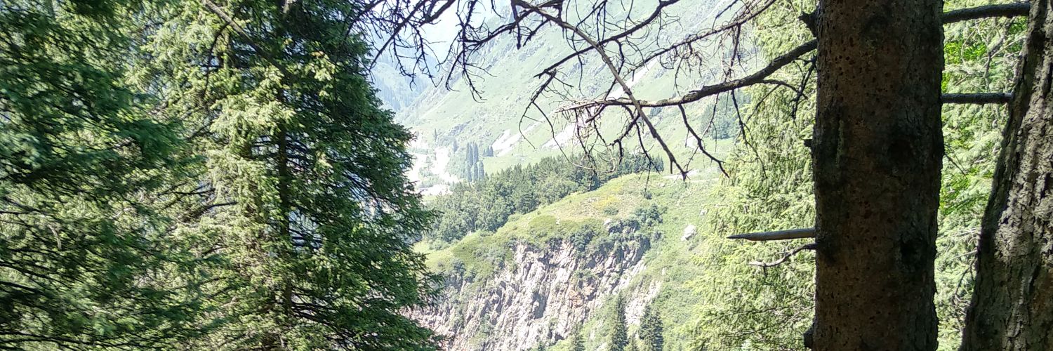 женат на твиттерской's banner