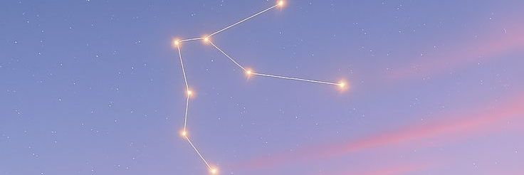 🌷's banner