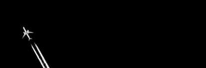 Birdmanio's banner