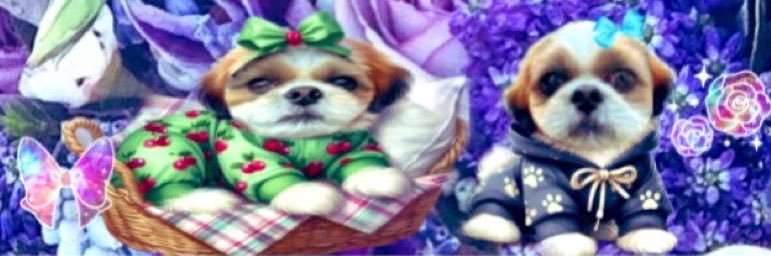 マイマイ's banner