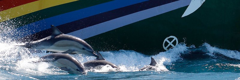 Greenpeace Australia Pacific's banner