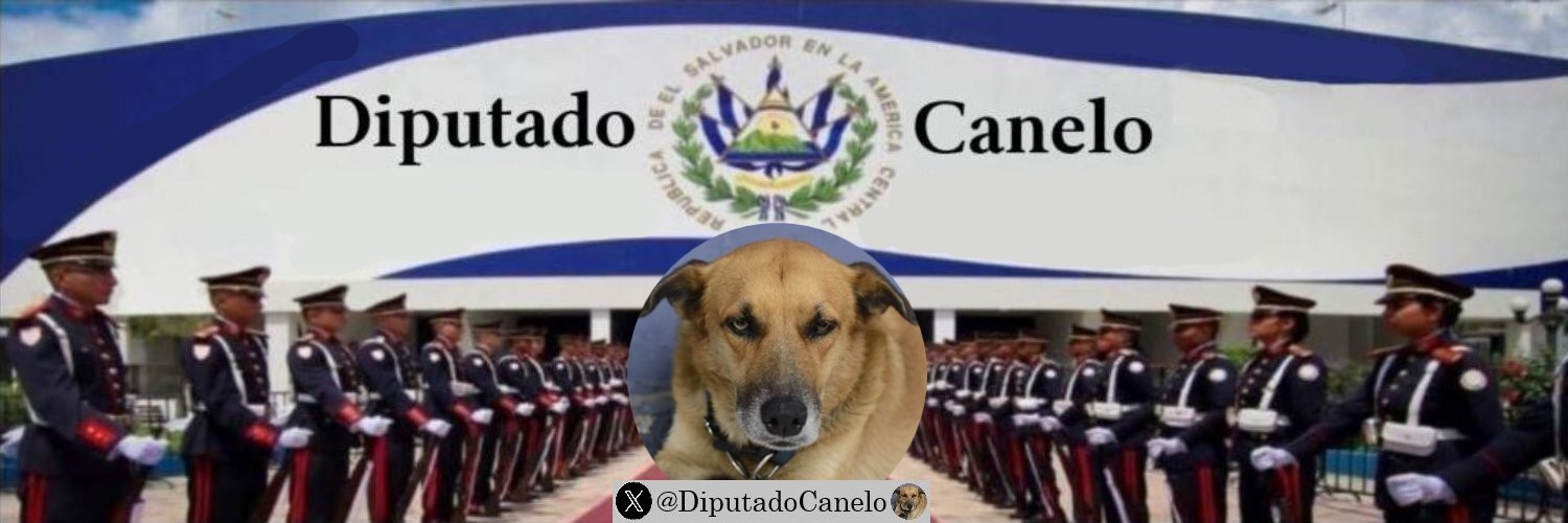 Diputado Canelo's banner