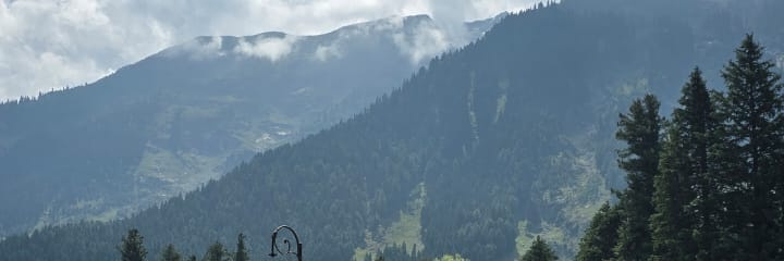 सखी 💚's banner