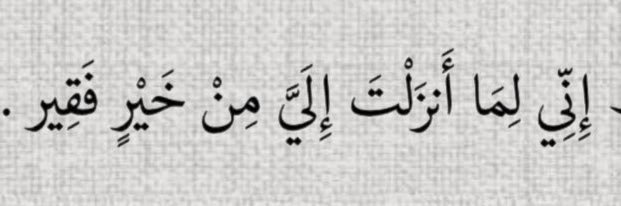 يارا فهمي's banner